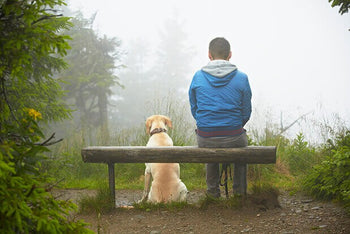 Does My Dog Need A Jacket In Cold Weather?