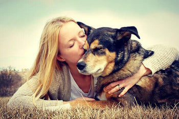 “How to Bond with Your New Rescue Dog!”