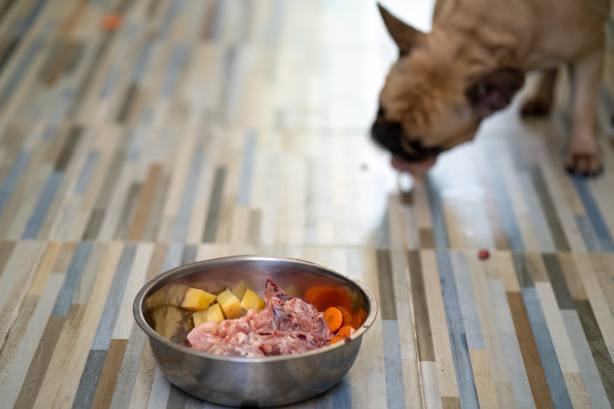 Feeding dog raw store chicken