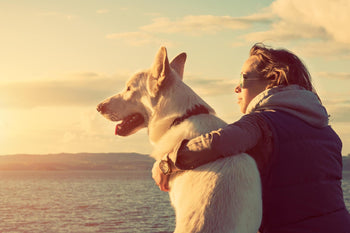 Tips for Taking Great Holiday Photos with Pets