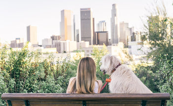 Tips for Picking a Pet Sitter