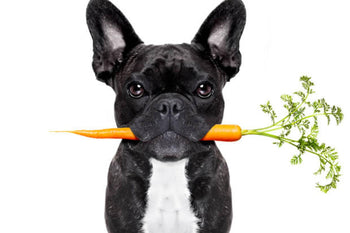 Healthy Alternatives To Store Bought Treats!