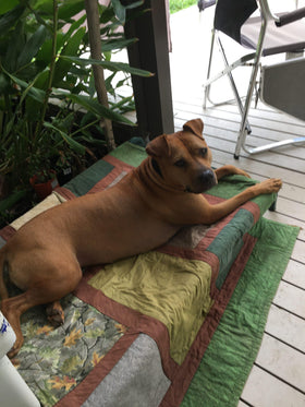 Penny