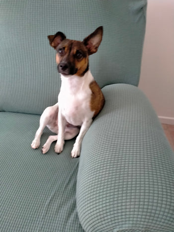 Sam