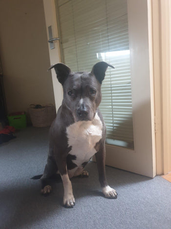 Lulu