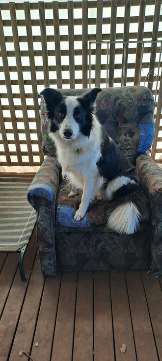 Nellie