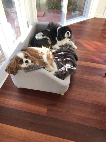 Floyd and Winston