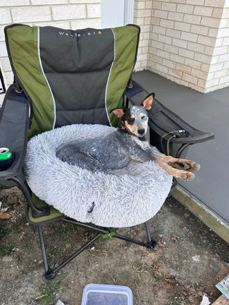 Millie
