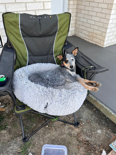 Millie