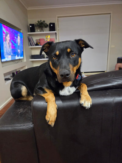 Beau