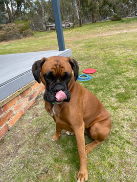 Penny