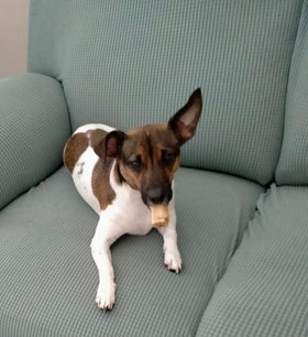 Sam