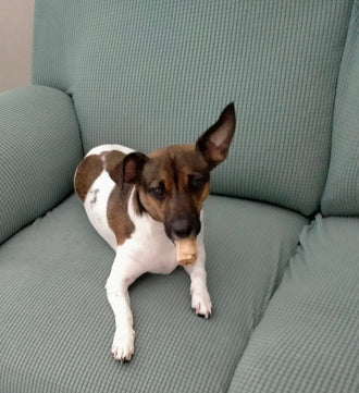 Sam
