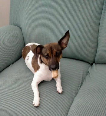 Sam