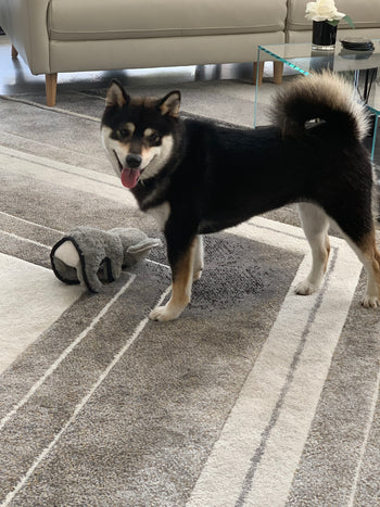 Kira