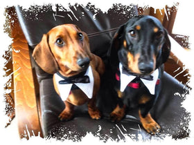 Hansel &amp; Willie