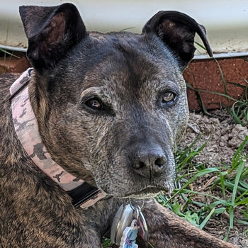Chloe