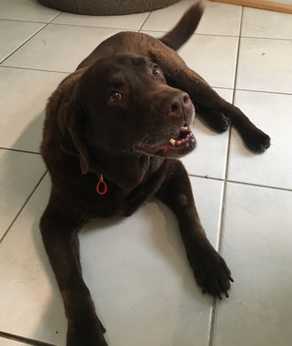 Cleo