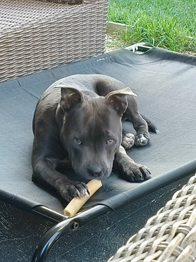 Miss Freyja