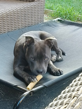 Miss Freyja