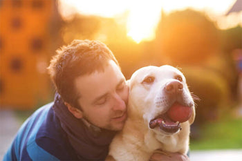 5 Ways Dogs Improve Human Lives