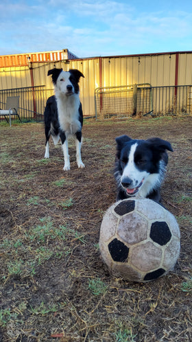 Tess, Molly