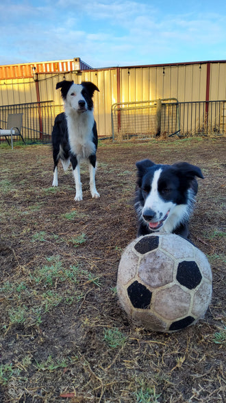 Tess, Molly