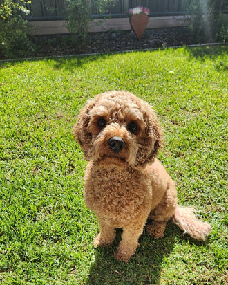 TILLY