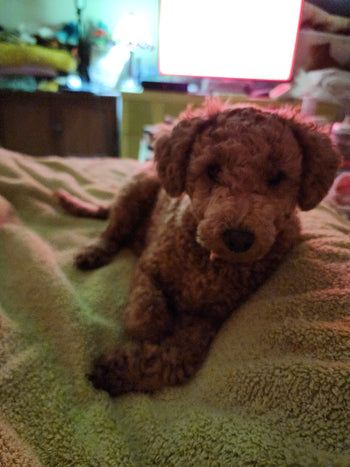 Tilly