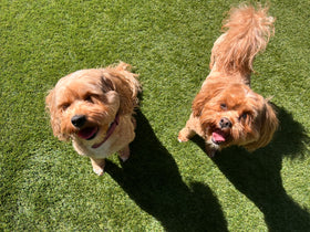 Bonnie and Gigi/Sisters