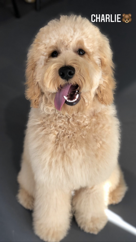 Charlie