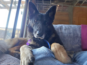 Max