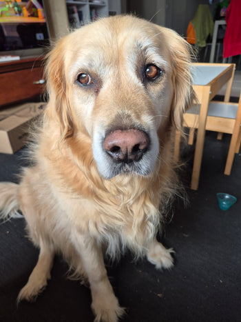 Molly