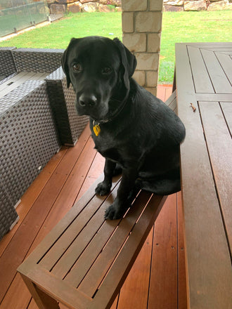 Archie