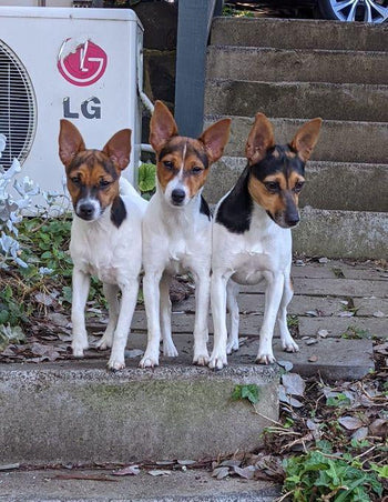 Tillie and daughters