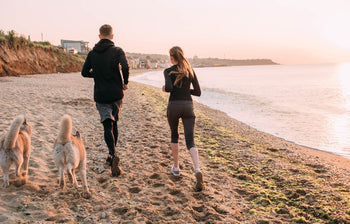 Looking for a Running Buddy? Not All Breeds Are a Good Idea.