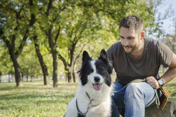 Intermittent Fasting for Dogs and Humans: Live a Healthier Life Together
