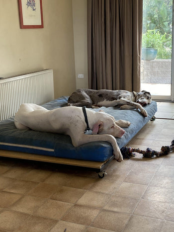 Sanna and Norbert