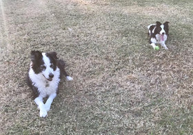 Maggie and Charlie