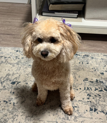 Winnie