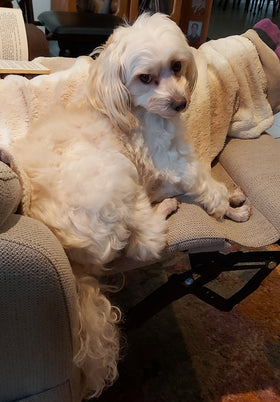 Marley