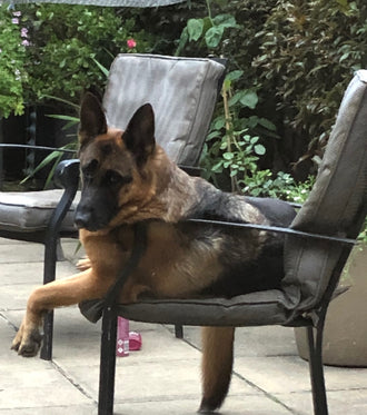 Rosie