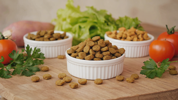 Stay Loyal vs. Other Premium Australian Dog Food Brands: An Honest Comparison