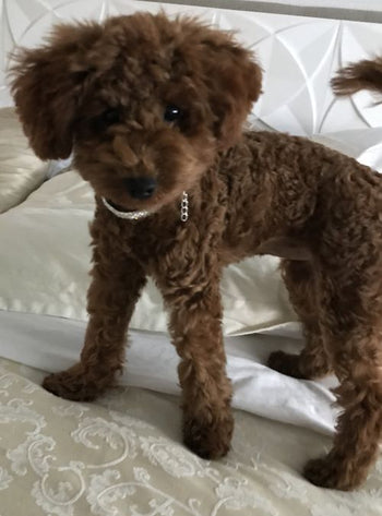 Baby Bear, alias Monster Baby..we written a wrap song about her as her alias.