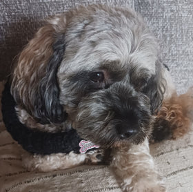 Coco