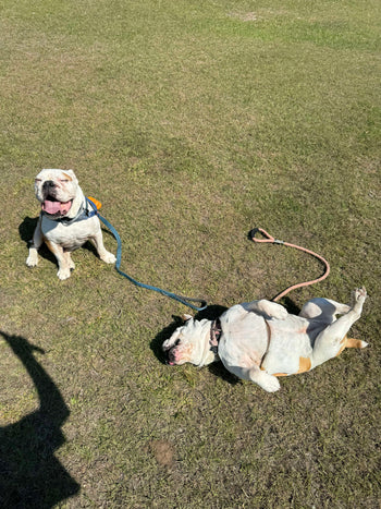 Winnie & Tex
