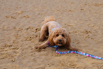 Tilly