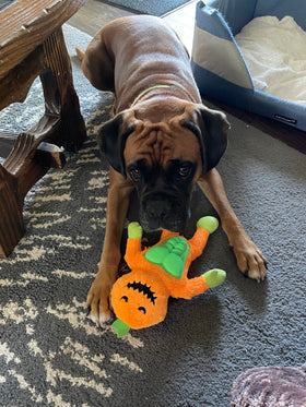 Penny
