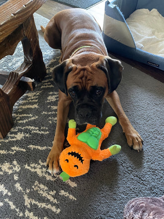 Penny