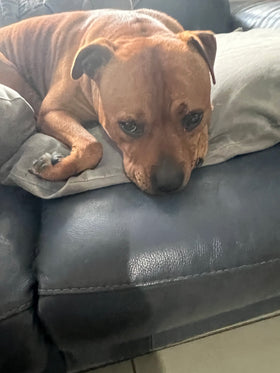Charlie